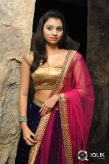 Priyanka at Adi Lekka Movie Audio Launch